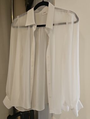 Aritzia Button Down